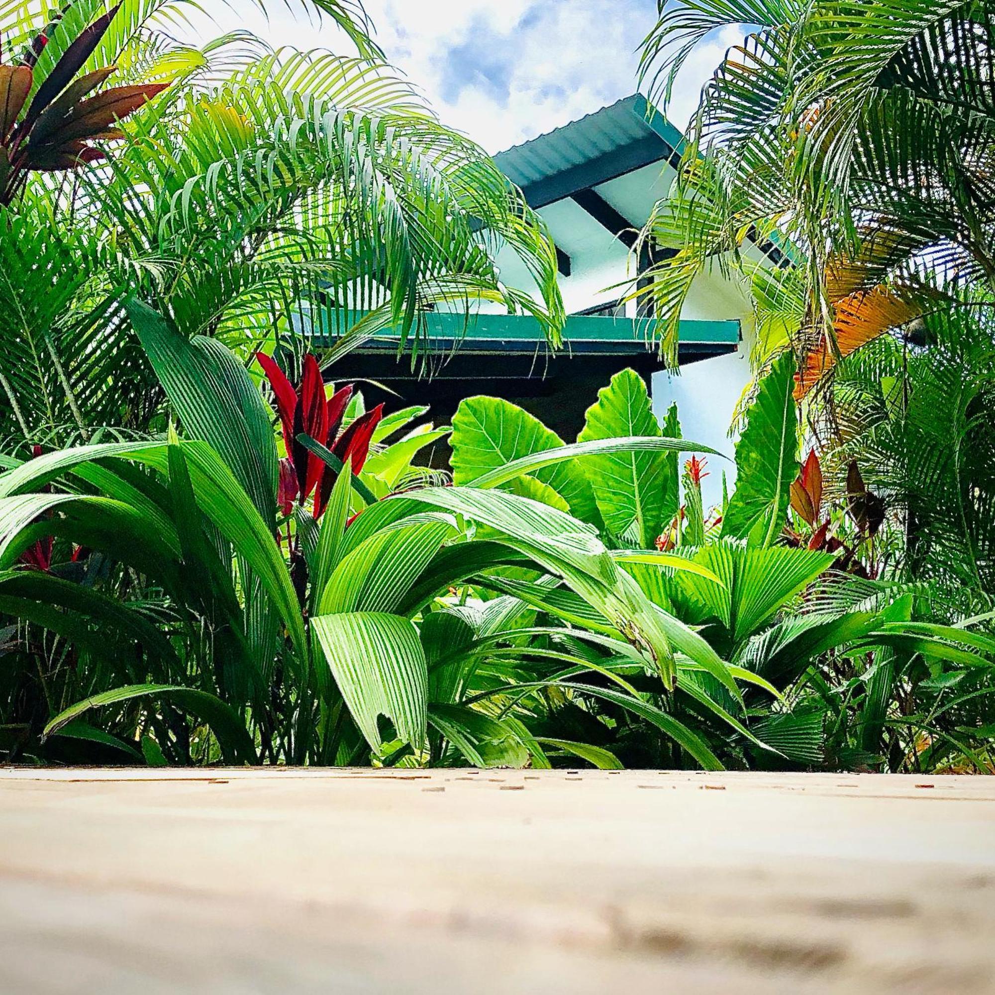 Santeria Lodge Playa Santa Teresa  Esterno foto