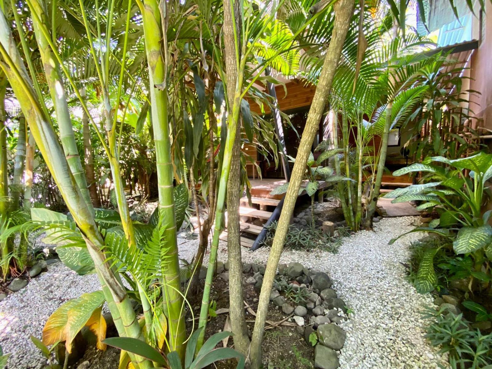 Santeria Lodge Playa Santa Teresa  Esterno foto