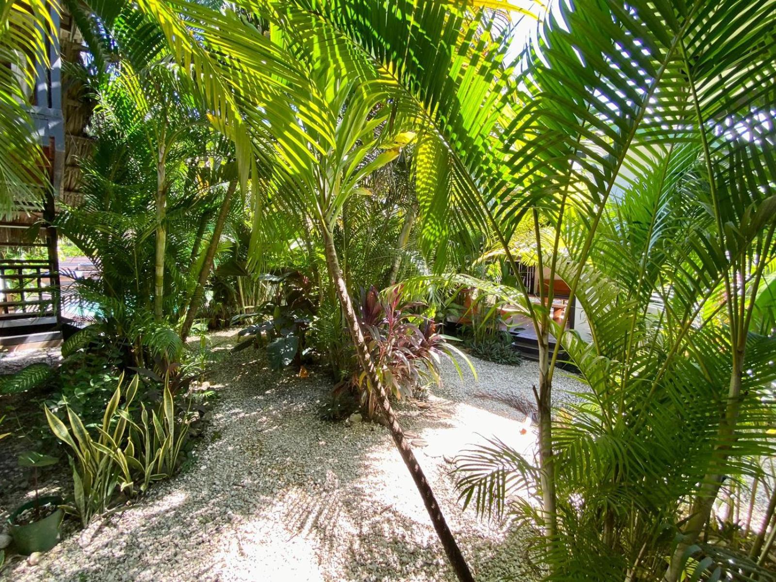 Santeria Lodge Playa Santa Teresa  Esterno foto