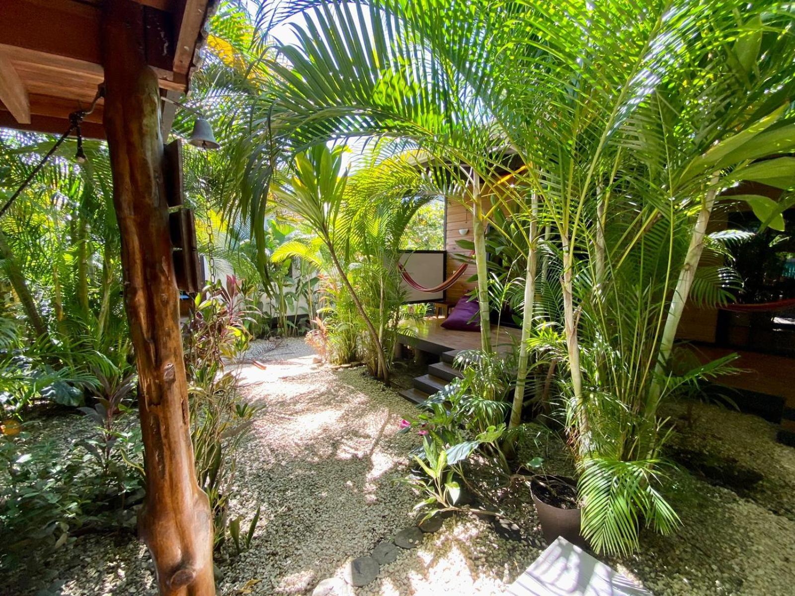 Santeria Lodge Playa Santa Teresa  Esterno foto