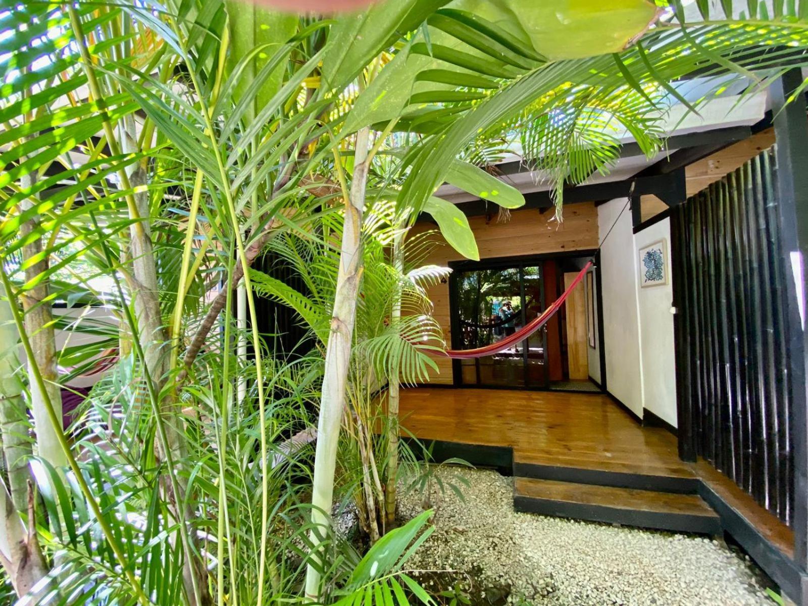 Santeria Lodge Playa Santa Teresa  Esterno foto
