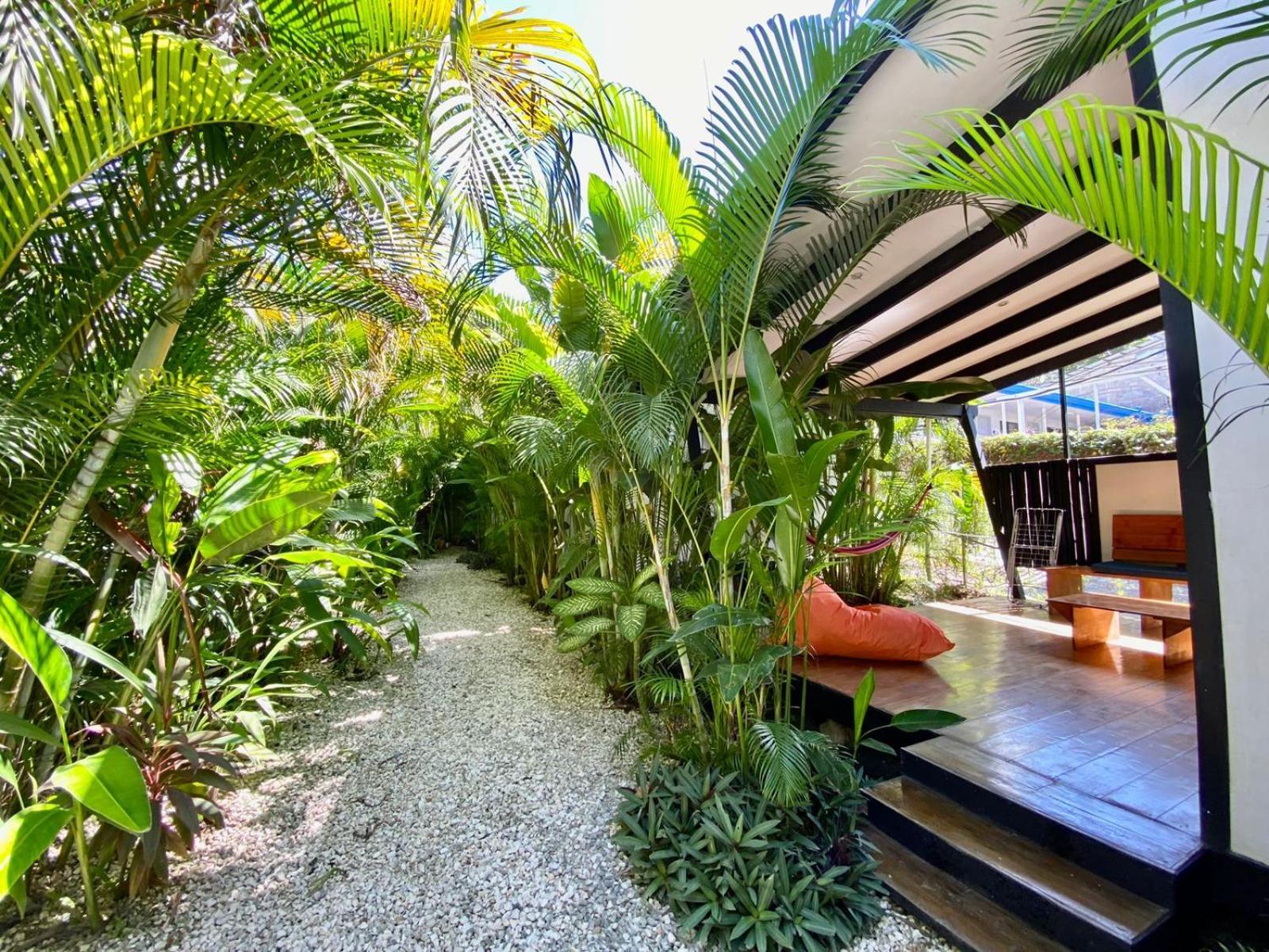 Santeria Lodge Playa Santa Teresa  Esterno foto